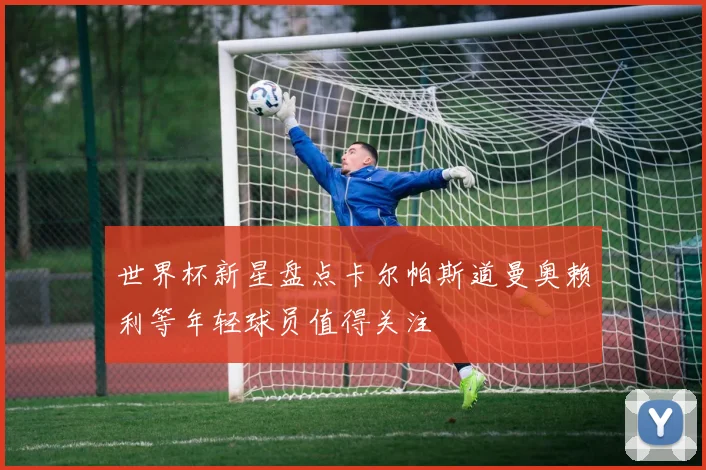 世界杯新星盘点卡尔帕斯道曼奥赖利等年轻球员值得关注