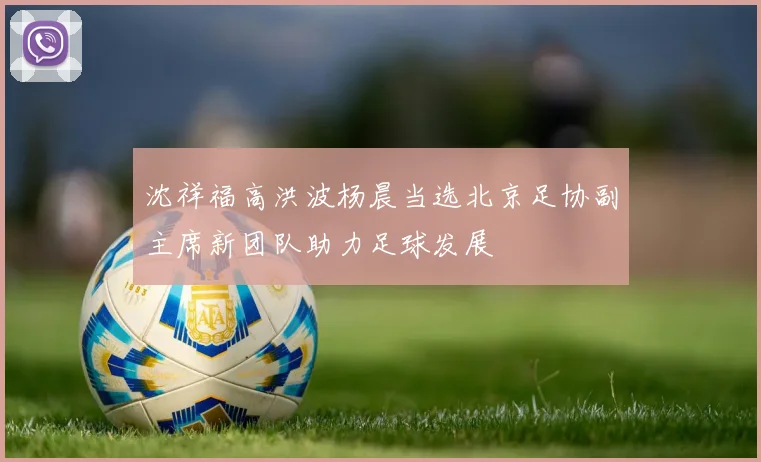 沈祥福高洪波杨晨当选北京足协副主席新团队助力足球发展