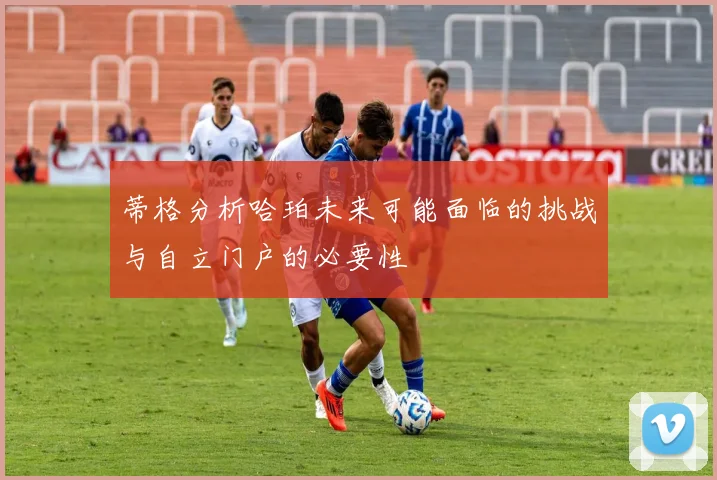 蒂格分析哈珀未来可能面临的挑战与自立门户的必要性