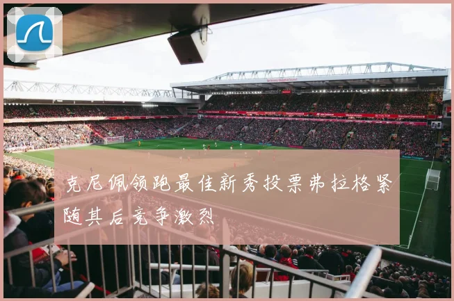 克尼佩领跑最佳新秀投票弗拉格紧随其后竞争激烈