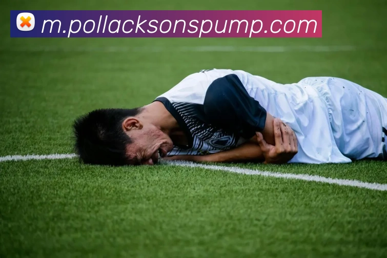 开云app网站服务体系